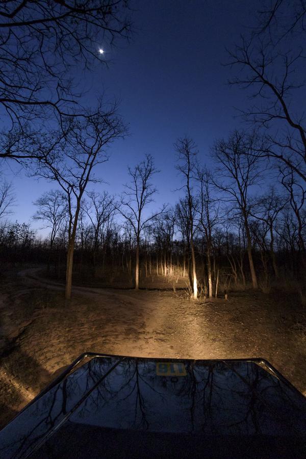 The Riverwood Forest Retreat Pench Khawāsa Esterno foto